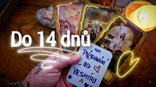 ‼️DO 14 DNŮ? JEN TO KRÁSNÝ?... ️