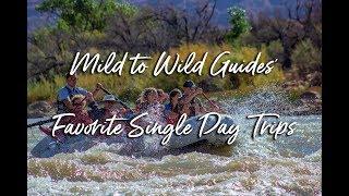 Top Single Day Raft Trips According to Mild to Wild Guides | Mild to Wild Rafting & Jeep Tours