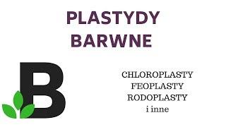 PLASTYDY barwne CHLOROPLASTY CHROMOPLASTY feoplasty rodoplasty - KOREPETYCJE z BIOLOGII - 106