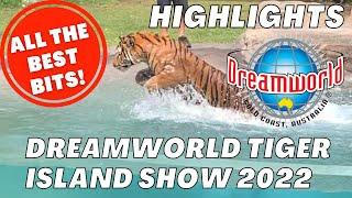 Dreamworld theme park Tiger Island Show highlights - tigers running, diving, swimming!