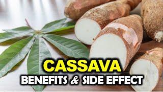 Cassava Benefits and Side Effects