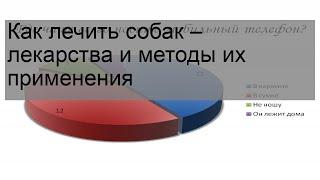 Как лечить собак – лекарства и методы их применения