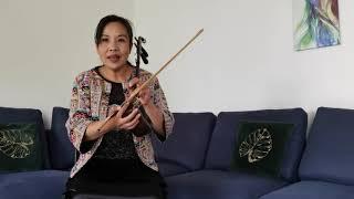 Cours d'erhu au centre culturel de Chine