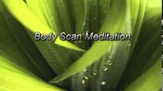 MBSR Body Scan Meditation (2014 version)