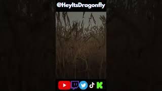 Have you heard real panic before? #funny #heyitsdragonfly #backrooms #escapethebackrooms