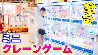 ミニクレーンゲーム全台！エブリデイ行田店で大量ゲット？！夏休みは調子良いかも！【クレーンゲーム】