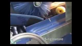 AGRIMAT SRL - Apple golden: optical electronic sizer machine