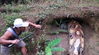 GIANT PYTHON SNAKE MONSTERS OF BLACK GOA INHIVERS | SNAKES | MANDA ADVENTURE | SNAKE VS MAN