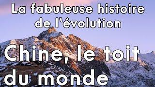 La fabuleuse histoire de l'évolution - Chine, le toit du monde