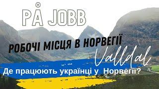 Робочі місця у норвезькому містечку. Де працюють Українці у Норвегії? #jobb #norge #valldal #робота