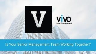 Is Your Senior Management Team Working Together?