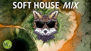 Peak Focus Soft House Study Music with Beta Isochronic Tones - Fox Mix