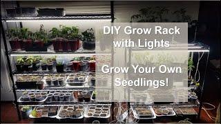 DIY Grow Rack with Grow Lights - Garden Seed Starting