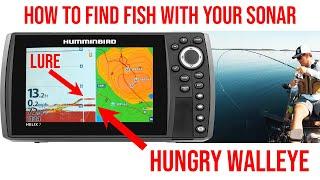 How To Use Your Sonar To Find Walleye (Humminbird Helix)