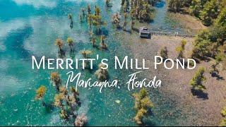 Spectacular SPRINGS!! KAYAKING @ MERRITT'S MILL POND, Florida