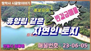 (23. 06. 05) 임하호 접해있는 조망좋은 산림경영부지. 산약초 재배하며 힐링(낚시,보트타기) 가능.