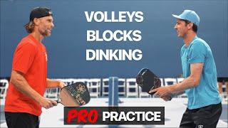 Pros Drilling: Andrei Daescu, Travis Rettenmaier, Donald Young | Volleys Blocks Dinking