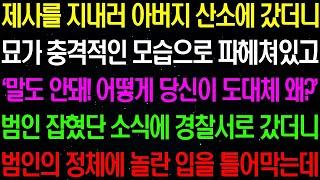 실화사연  제사를 지내러 아버지 산소에 갔더니 묘가 충격적인 모습으로 파헤쳐져 있는데    라디오사연  썰사연 사이다사연 감동사연