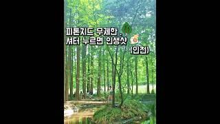 “오늘은 숲속에서 노래했어요”“피톤치드 무제한 카페에서 부른 그 노래”#shots #강화도카페 #인천카페
