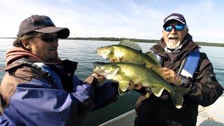 Crushing Big Walleye On Suspending Jerkbaits | Fish'n Canada