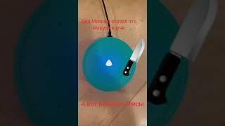 Реакция Алисы на то, что дед Максим сказал, что Маруся круче #алиса #маруся #ржака #приколы #мем