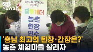 '충남 최고의 된장·간장은?' 기지개 켜는 농촌 체험마을 / SBS