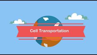 Cell Transportation-Passive and Active Transport