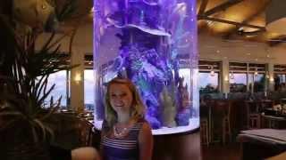 "Find Your Way" for Fins at Sharky's, Bluwave Productions Producer Jody West
