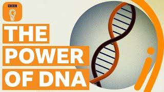 How the discovery of DNA changed the world – and my life | BBC Ideas