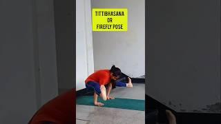 tittibhasana yoga | firefly pose #yoga #tittibhasana #yogaflow #shorts #youtubeshorts #maniac #trend