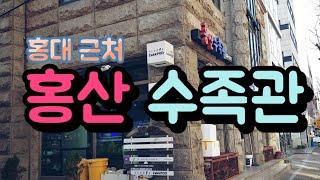 홍대 놀거리, 홍산 수족관 방문기, Korean fish shop tour, TaengSunny, 탱써니물생활