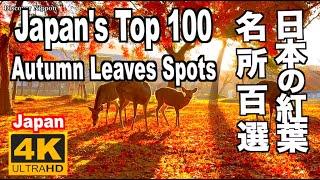 日本の紅葉名所100選 Japan's Top 100 Autumn Leaves Spots 紅葉の名所 日本の秋 絶景紅葉 紅葉スポット 全国 Autumn foliage