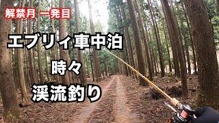 【エブリィ車中泊】 自然の中でのご飯はやっぱり最高！ 釣り車中泊