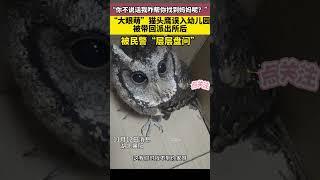 猫头鹰被带回派出所后，遭到警察层层盘问#动物 #funny