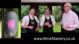 95. Chablais Gamay Wine Tasting - Episode 25 Part 3