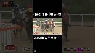 내용있게 준비된 승부말      #경마  #경마예상  #경마방송  #예상방송  #경마예상방송 #금요경마  #토요경마  #일요경마 #경마장      #서울경마