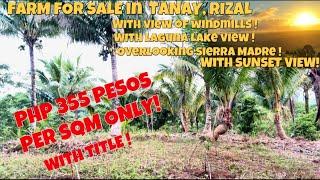 (PROPERTY # 86)  FARM FOR SALE IN TANAY, RIZAL - TITLED PROPERTY - 1 HECTARE !