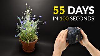 I grew flowers and filmed it for 55 days