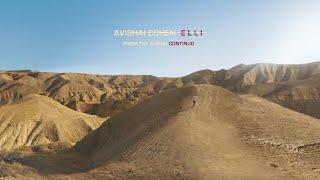 Avishai Cohen - Elli (from the album 'Continuo')