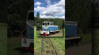 МЕХАНИЧЕСКАЯ КОРОБКА ПЕРЕДАЧ НА ТЕПЛОВОЗЕ? #shorts  #railway #железнаядорога #ржд #ужд #ту6