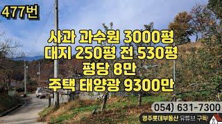 사과 과수원 3000평 대지 250평 전 85평 총3308평 평당 8만 주택 태양광 9300만(전일부 매매로 면적수정)