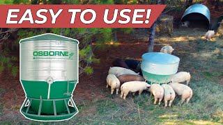 How We Feed 400 Pastured Pigs | Osborne Pig Feeder