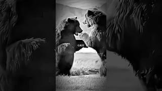 WE FIGHT! #motivation #motivate #motivational #inspiration #inspirational #grizzlies #bear #shorts