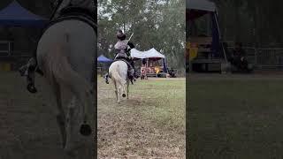 Lady of the Lakes Renaissance Faire Joust #Joust #renaissance #renaissancefaire