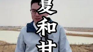 千年之恋，宁夏和甘肃宁夏 甘肃 旅游 旅游推荐官 陕甘宁 @DOU+小助手