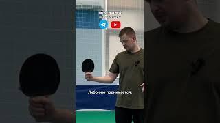 А как держишь ракетку ты? #настольныйтеннис #tabletennis #pingpong #обучение #теннис #топспин