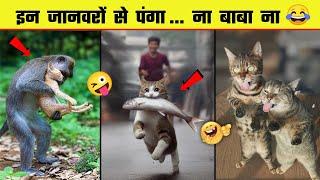  इन जानवरों से पंगा ना बाबा ना | Funny Animal Videos 2024 - Part 12