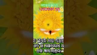 나비해바라기 그림 액자 #해바라기그림 #해바라기꽃 #art #어린왕자갤러리