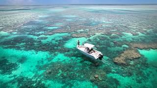 Fishing REEF HOLES at DEAD Low Tide !!