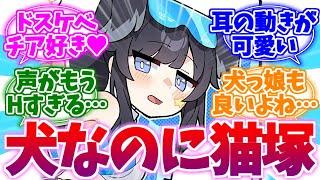 犬だけど卑しさキャッツ級！猫塚ヒビキへの反応集【ブルーアーカイブ/ブルアカ/反応集】